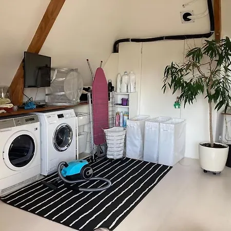 Bollenstreek Villa *